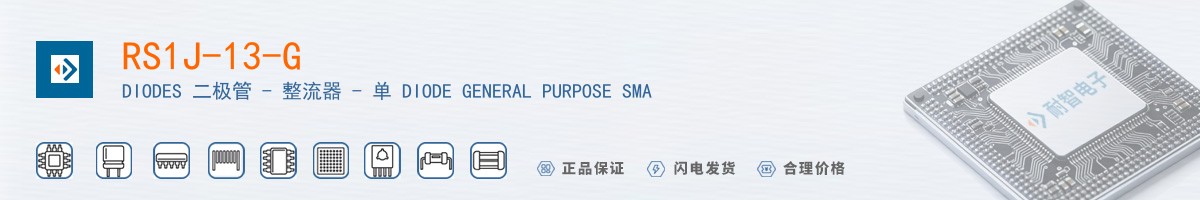 RS1J-13-G������