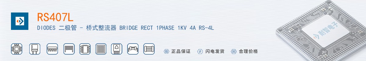 RS407L������