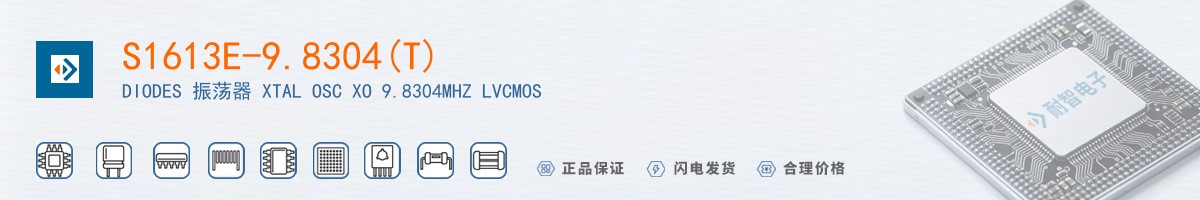 S1613E-9.8304(T)������