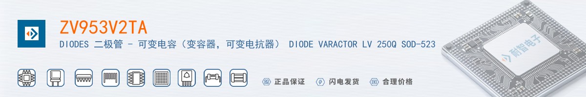 ZV953V2TA������